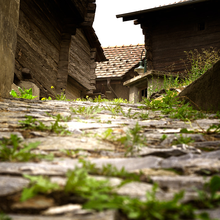 Bild des alten Kirchweges